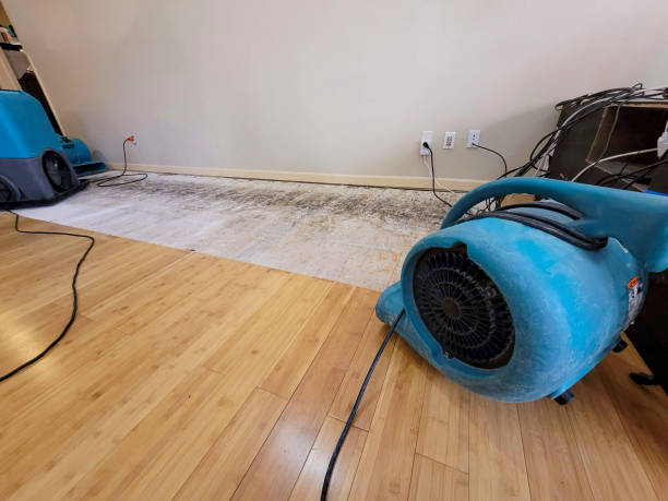 Professional Structural Drying technician working in Hillsborough, NJ